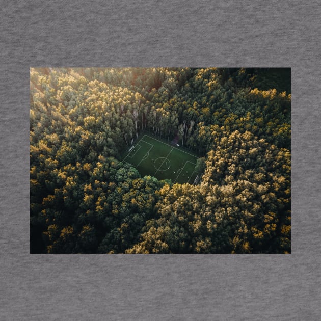 Soccer Pitch by withluke